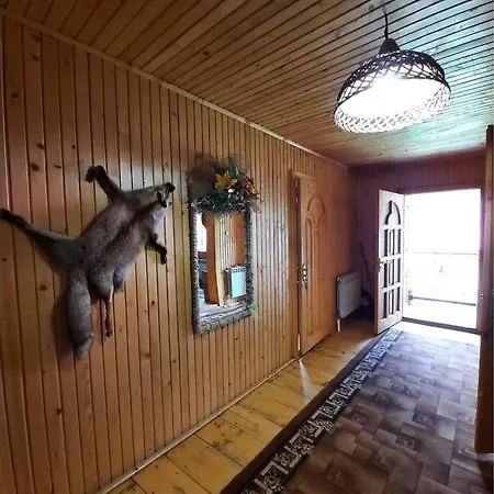 Apartment окремі на 8 чоловік у ані Synevyrs'ka Polyana